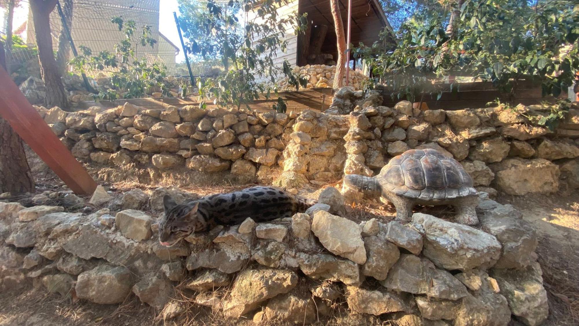 Les Jardins De L'Oustal Villa Narbonne Bagian luar foto
